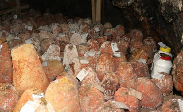 Turistler bu peynir için birbirleri ile yarışıyor. Cildi saçı ve kemiği güçlendiriyor - Resim: 6